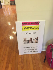 PINK LEMONADE.jpeg